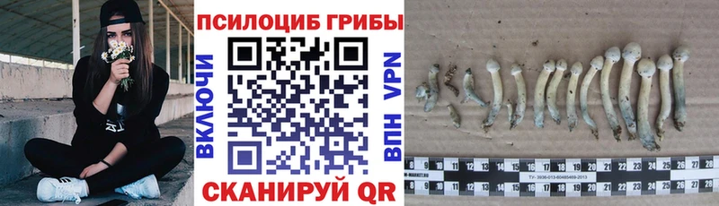 Псилоцибиновые грибы GOLDEN TEACHER  Волгодонск 